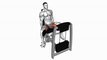 Adduction de hanche à la machine