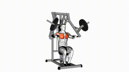 Chest press à la machine