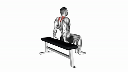 Dips scapulaires