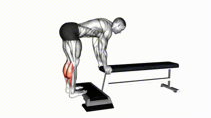 Donkey calf raise