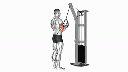 Extension triceps à la corde