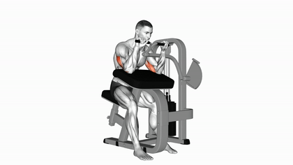 Extension triceps à la machine