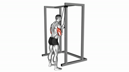 Extension triceps à l’élastique