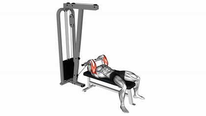 Extension triceps allongée à la poulie
