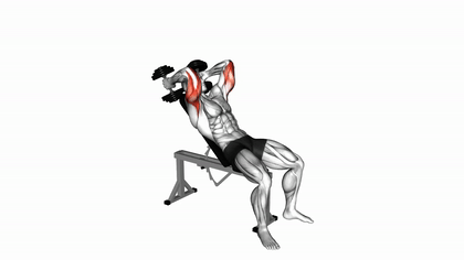Extension triceps inclinée aux haltères