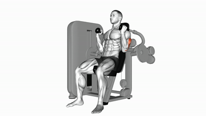 Extension triceps machine prise neutre