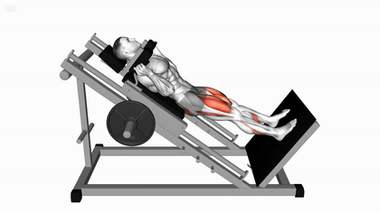 Hack squat