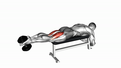 Leg curl avec haltère