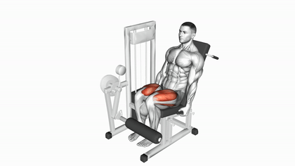 Leg extension à la machine