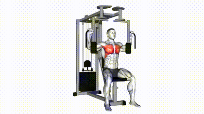 Pec deck