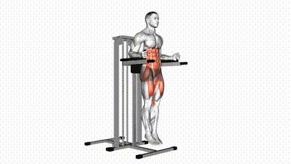 Relevé de jambes à la chaise romaine