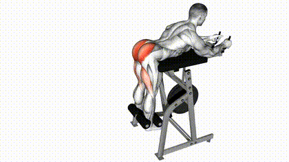 Reverse hyperextension