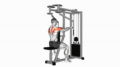 Reverse pec deck