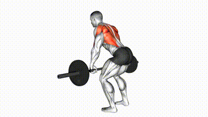 Rowing barre pronation