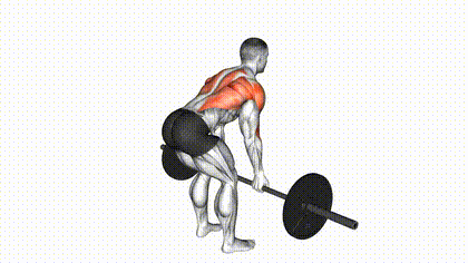 Rowing barre supination