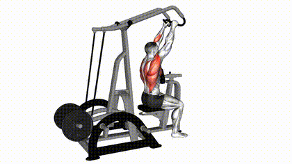 Rowing machine haute