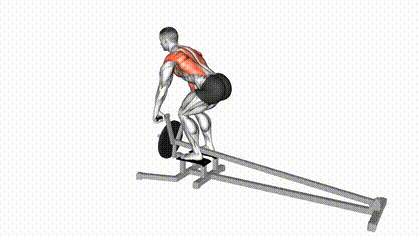 Rowing T-bar