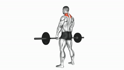 Shrugs à la barre