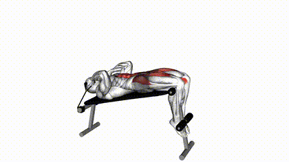 Sit-up décliné à l’élastique