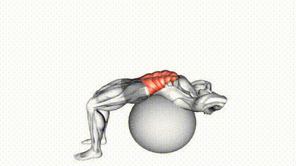 Sit-up sur ballon suisse