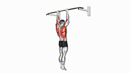 Tractions pronation largeur d’épaules